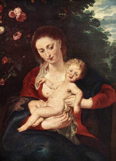 RUBENS, Pieter Pauwel Virgin and Child oil painting image